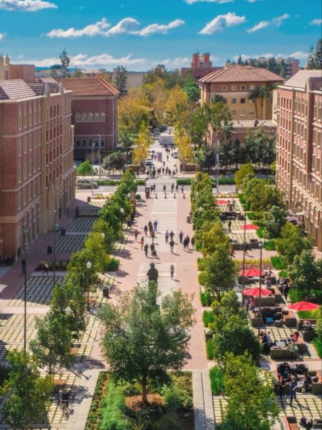 Top 10 Best Universities In The United States