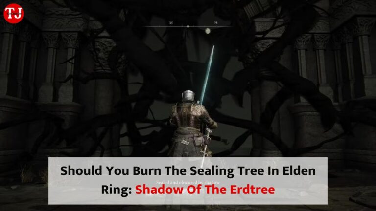 Shadow Of The Erdtree