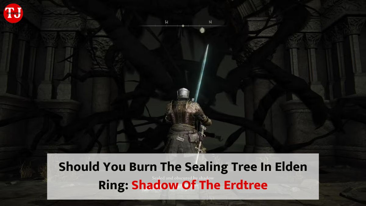 Shadow Of The Erdtree