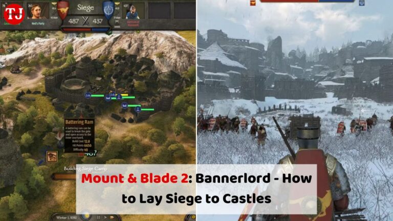 Mount & Blade 2