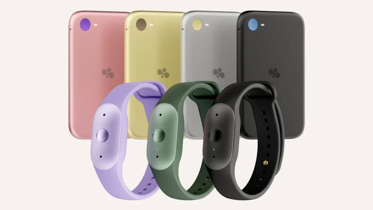 Amazon Bee Frontier & Eclipse AI Devices Launch at $74.99